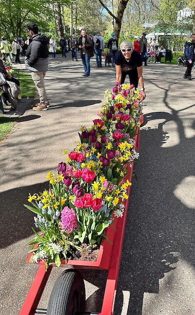 So many beautiful flowers at Keukenhof