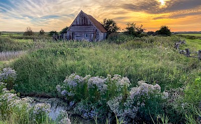 Traditional schapenboet — a classic Texel sheep barn. Flickr@Johan Wieland