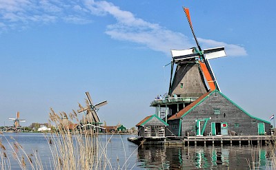Historic windmills along the Zaanse Schans. Pexels@EricPoussin