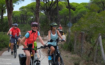 Cycling under pine canopy. toTN