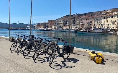 Bikes await along the charming marina. toTN