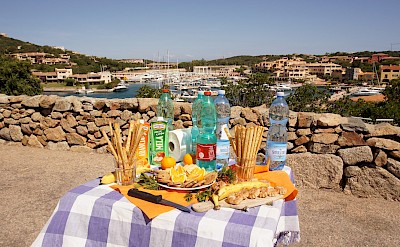 Picnic with a view! toTN