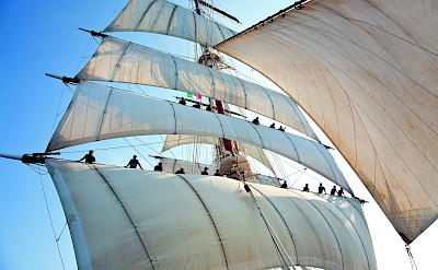 Sails and rigging in motion. toTN