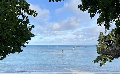A Fiji beach framed by lush tropical greenery. &copy;Mikky