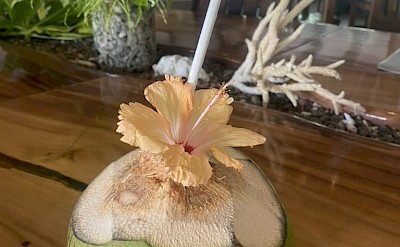 Fresh island coconut drink. &copy;Mikky