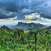 Fiji Adventure - Fiji highlands and ancient tree-fern forests. to-FIT
