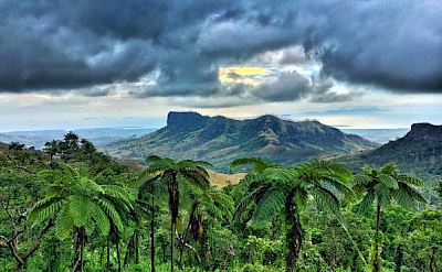 Fiji highlands and ancient tree-fern forests. to-FIT