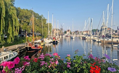 Flowers at the harbor in Enkhuizen, Netherlands. Unsplash@Fatemeh Alizadeh