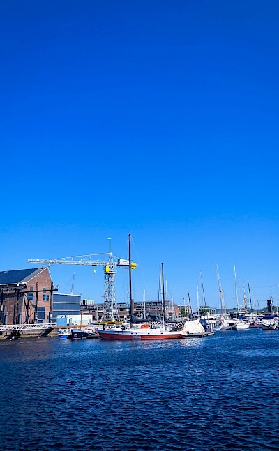 Harbor in Den Helder, Netherlands. Unsplash@vigouroux gerald
