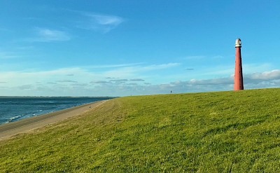 Lighthouse in Den Helder, Netherlands. Unsplash@vigouroux gerald