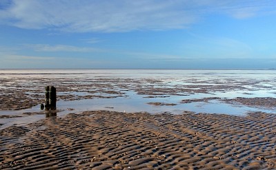 Wadden Sea at low tide, Netherlands. CC:BBT