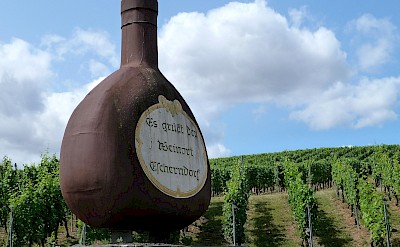 Celebrating Franconia’s iconic wine bottle shape. toSET