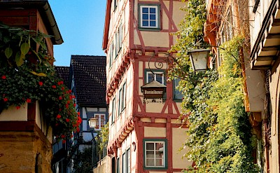 Half-timbered houses and flower-lined streets of Bad Wimpfen. Pexels@esmerald