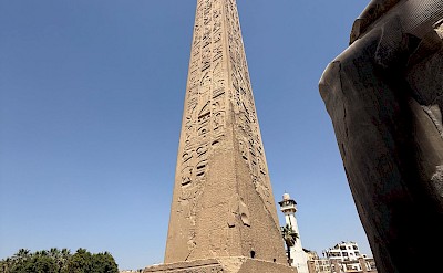 Obelisk of Luxor temple. toBBT