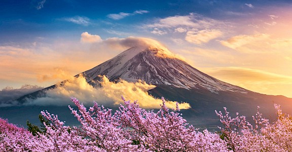 Clouds and cherry blossoms around Mount Fuji in Japan. Unsplash@Getty Images
