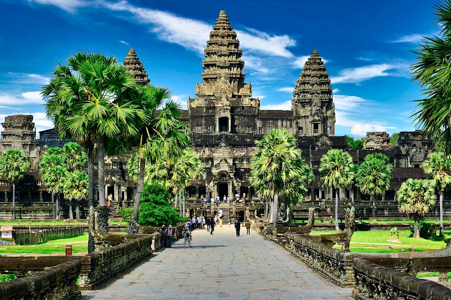 Palm trees lining the pathway to Angkor Wat, Cambodia. Unsplash@allPhoto Bangkok