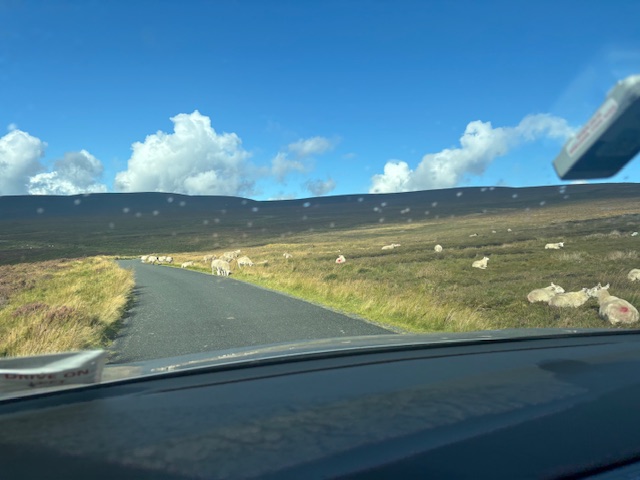 Dublin to Kilkenny road. CC:Author