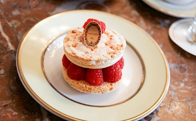 A raspberry macaron pastry from the renowned Parisian patisserie Ladurée. pexels@ccshot