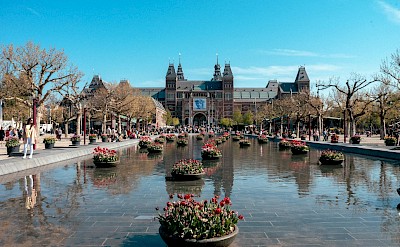 The grand Rijksmuseum in Amsterdam. pexels@felkerpixel