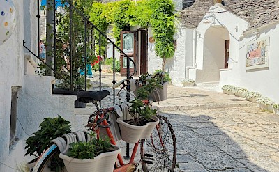 A charming alley in Alberobello. pexels@Adrianlimani
