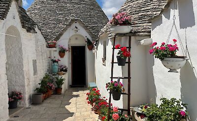 Flowers outside houses in Alberobello, Puglia, Italy. Unsplash@Brigi Harkanyi