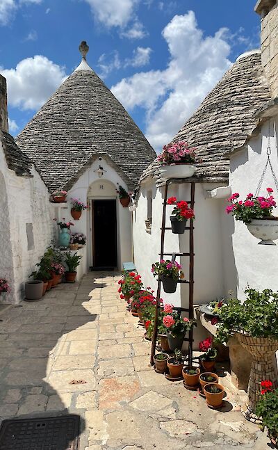 Flowers outside houses in Alberobello, Puglia, Italy. Unsplash@Brigi Harkanyi