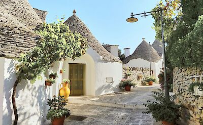 Plants in the streets of Alberobello, Puglia, Italy. Unsplash@Reisetopia