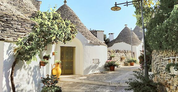 Plants in the streets of Alberobello, Puglia, Italy. Unsplash@Reisetopia