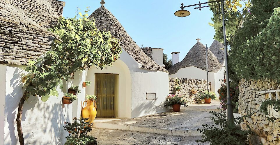 Plants in the streets of Alberobello, Puglia, Italy. Unsplash@Reisetopia