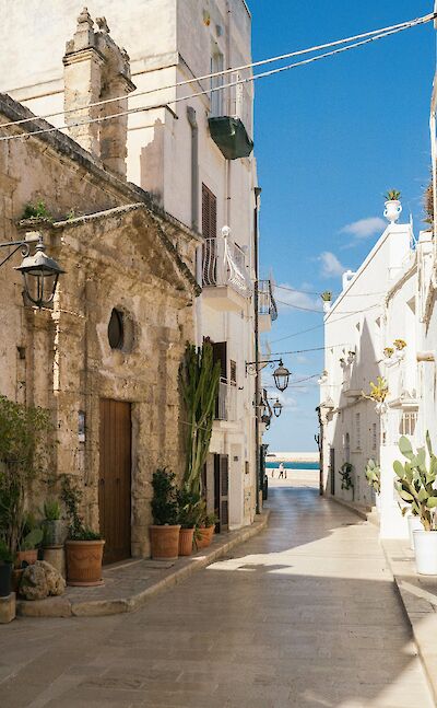 Streets of Monopoli, Puglia, Italy. Unsplash@Max Bohme