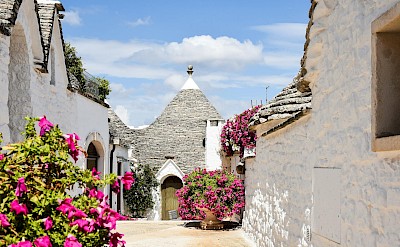 Quiet lanes lined with whitewashed trulli and vibrant bougainvillea in Alberobello. Pexels@AXPphotography