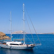 Virtuoso | Boat & Bike Tour