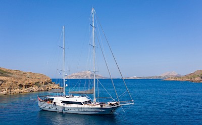 Virtuoso | Boat & Bike Tour