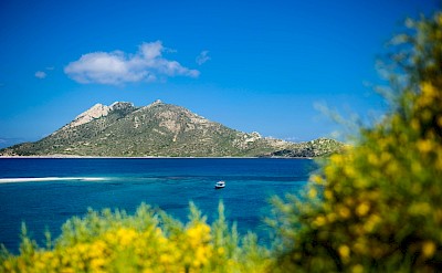 Aegean Sea views in the Cyclades. toIH