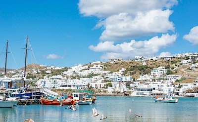 Harbor of Mykonos Town with fishing boats and whitewashed buildings. pexels@Diego F Parra