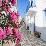 Mykonos to Cyclades Sail & E-Bike - Charming whitewashed lanes with blooming bougainvillea in Paros, Greece. toIH