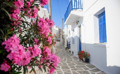 Charming whitewashed lanes with blooming bougainvillea in Paros, Greece. toIH