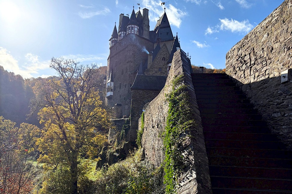 Rhine & Mosel bike tour. Photo by Nicole H.