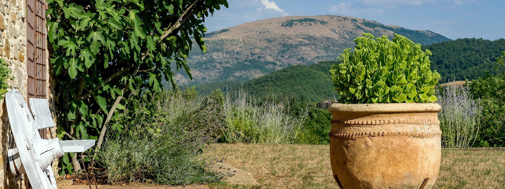 A garden in Umbria, Italy. Unsplash@Nils Schirmer