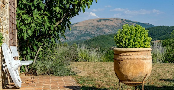 A garden in Umbria, Italy. Unsplash@Nils Schirmer
