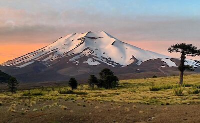 Lonquimay Volcano viewed from the Corralco area. toAT