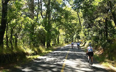 Cycling the scenic route from Caburgua to the Huife Hot Springs. toAT