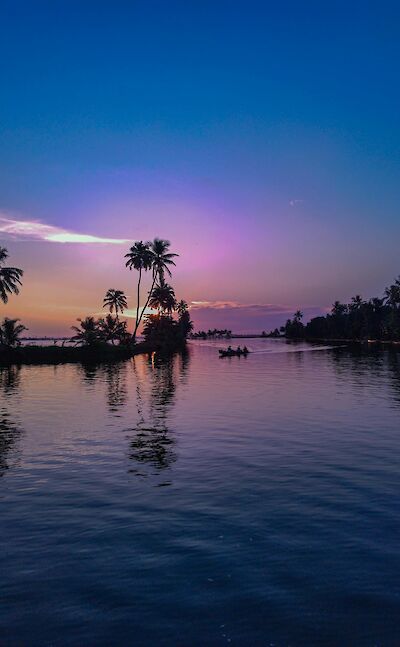 Kerala Landscapes. Pexels@AlbinJohnson