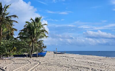 Kerala coastline along the Arabian Sea. toIH
