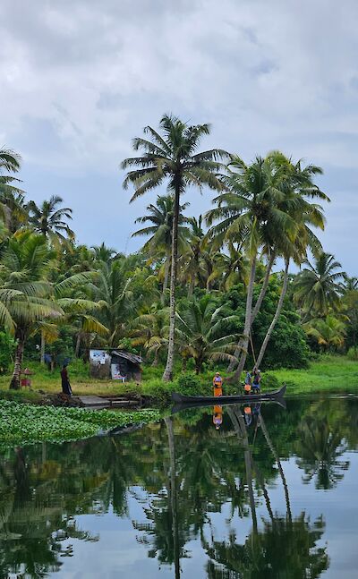 Tropical waterways and village landscape in Kerala. toIH