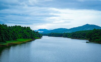 River and forest landscape near Thattekad. unsplash@AvinCP