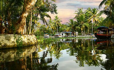 Canals and tropical gardens in Alleppey. unsplash@TimBroadbent