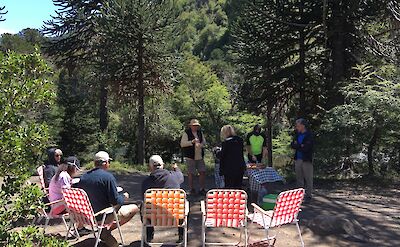 A picnic lunch in the forest on Argentina to Chile bike tour. toAT
