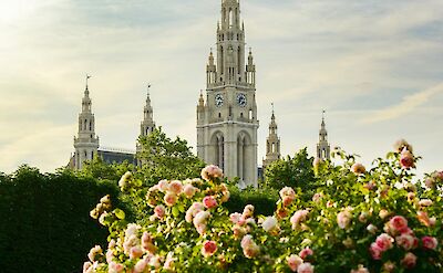 Vienna City Hall surrounded by lush gardens in full bloom. Pexels:Nataly Nagorska