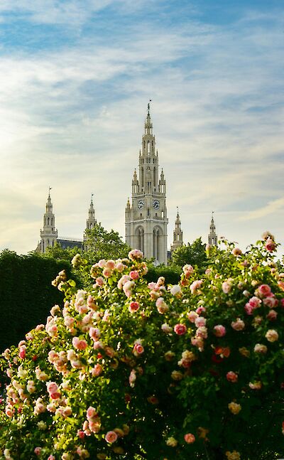 Vienna City Hall surrounded by lush gardens in full bloom. Pexels:Nataly Nagorska